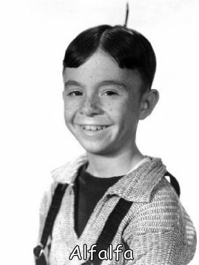 TL/alfalfa.jpg